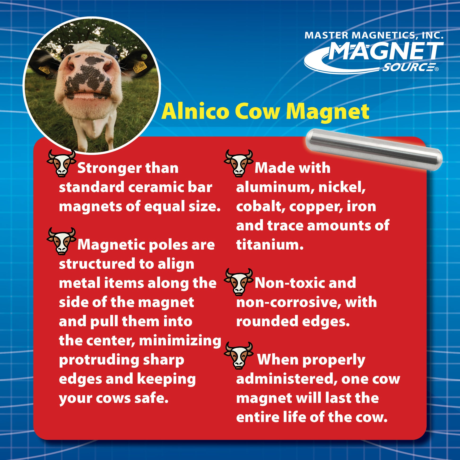 Load image into Gallery viewer, 07239 Alnico Cow Magnets (2pk) - Specifications