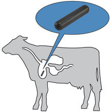 Load image into Gallery viewer, COW-CP6 Ceramic Cow Magnet - In Use