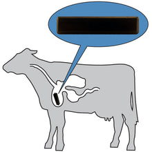 Load image into Gallery viewer, COW-SCM7CX4BX Ceramic Cow Magnets (4pk) - Side View