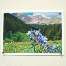 Load image into Gallery viewer, 07093 Magnet Anywhere™ (10pk) - In Use